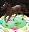 IMG_7415-scaled-1.jpg