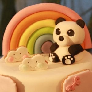 Pandi Panda, petit ourson de Chine
